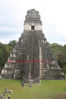 Tikal_Guatamala_1024X683w.jpg